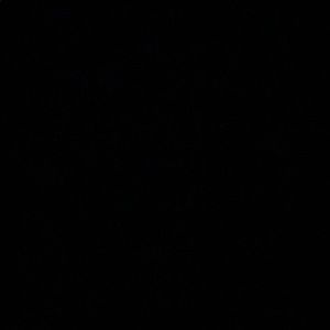 Meet your Posher, Alexandria